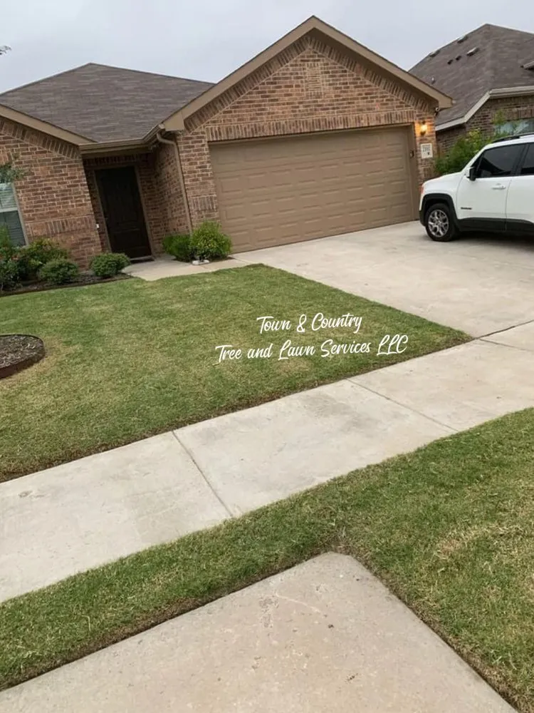 Expert lawn care service for residential properties in Seagoville, TX by Town & Country Tree and Lawn Services