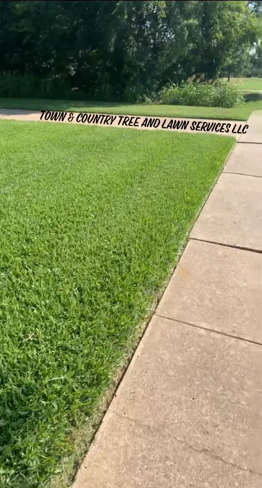 Trusted lawn mowing service for year-round maintenance in Seagoville, TX by Town & Country Tree and Lawn Services