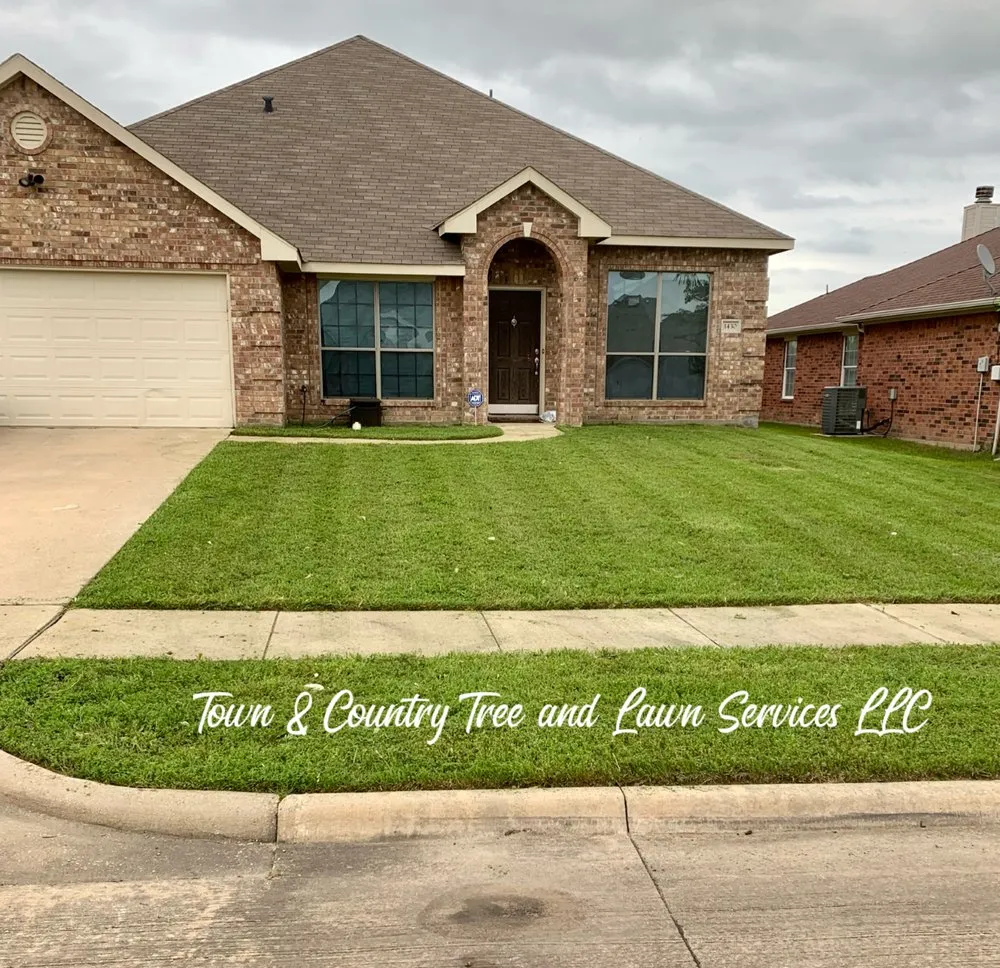 Professional lawn care service for outdoor upgrades in Seagoville, TX by Town & Country Tree and Lawn Services