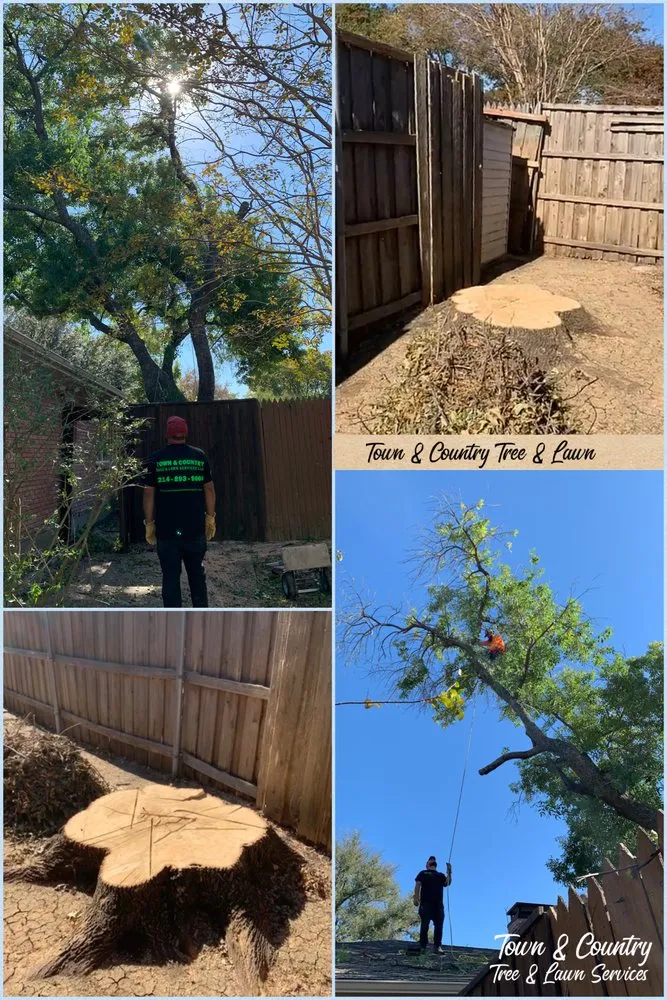 Trusted residential landscaping in Seagoville, TX - Town & Country Tree and Lawn Services