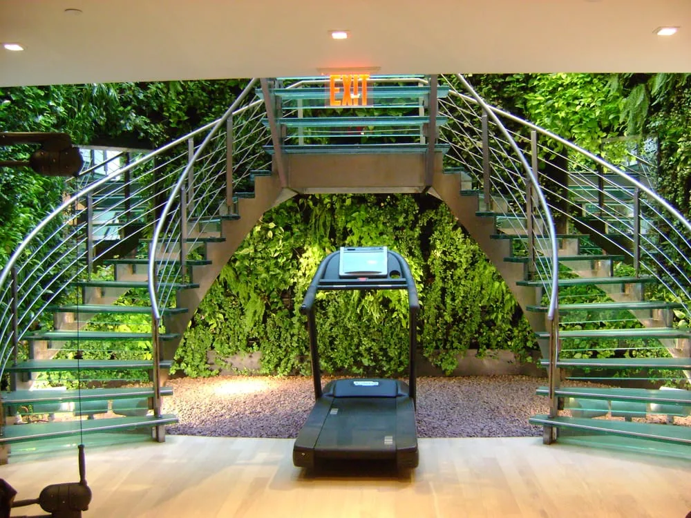 Professional yard maintenance in Long Island City, NY - Town & Gardens Ltd.