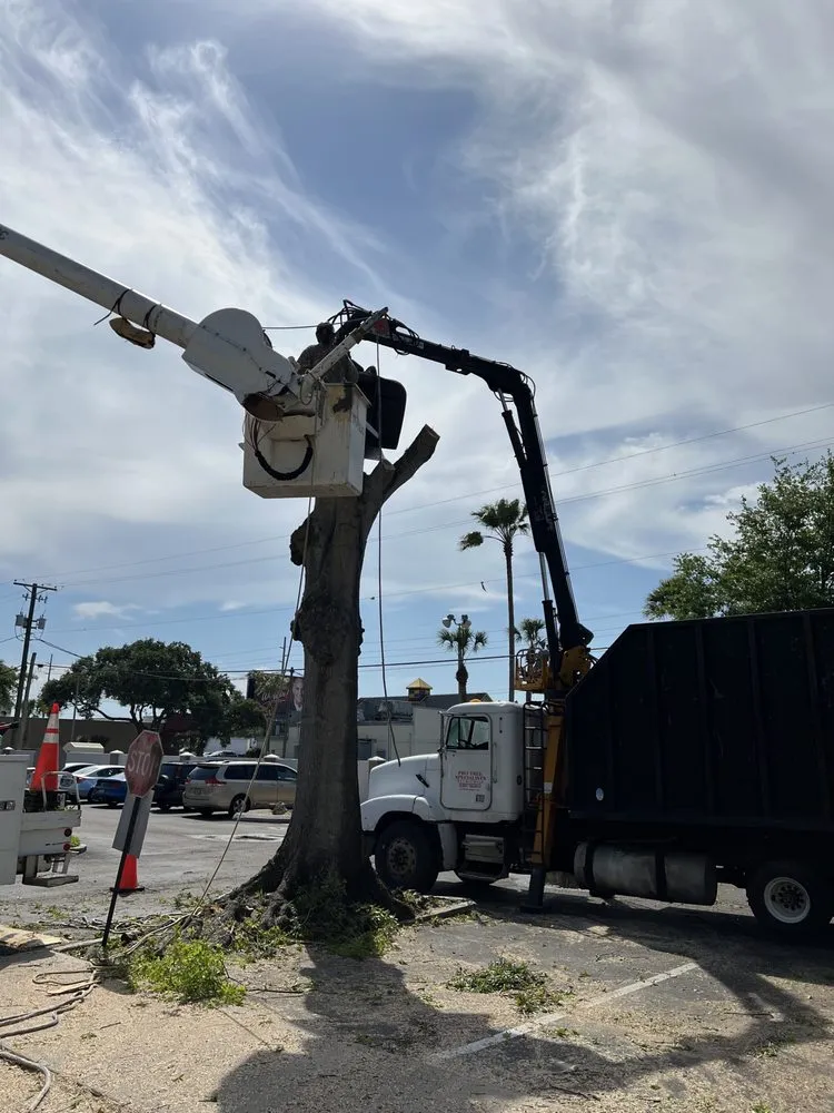 Professional lawn mowing service in Riverview, FL by Town Haul