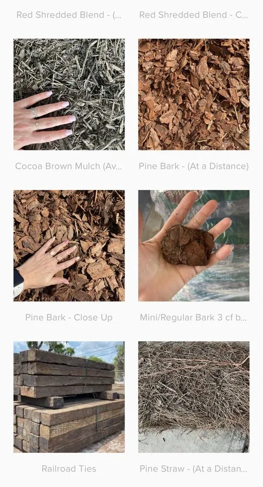 Reliable lawn mowing service in Riverview, FL - Town Haul