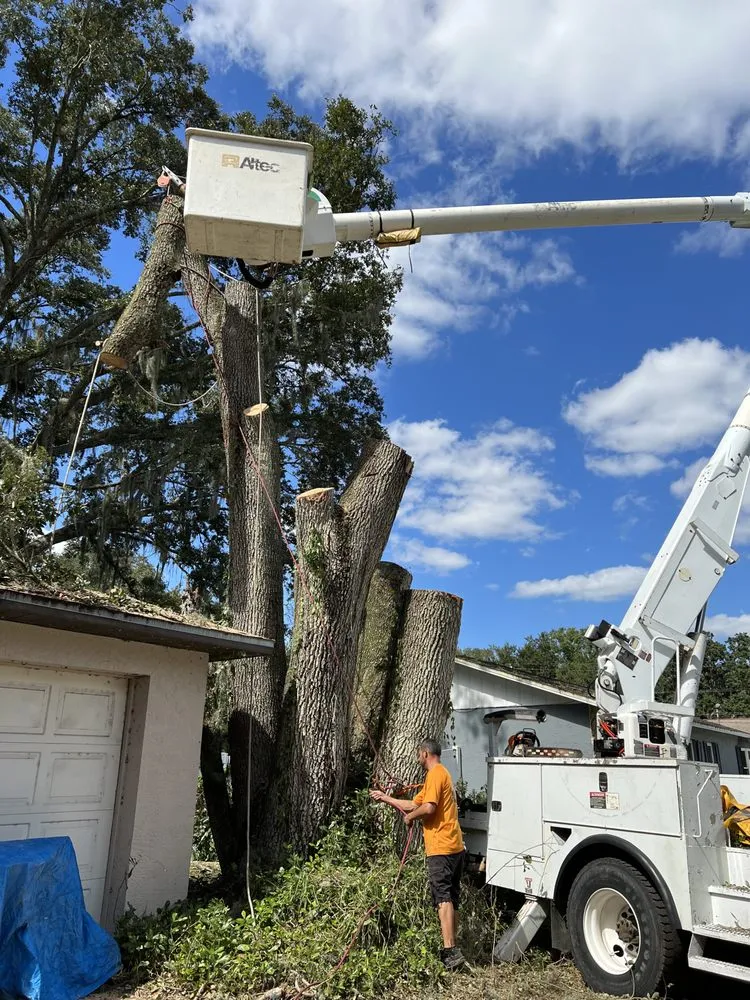 Trusted yard cleanup service for outdoor upgrades across Riverview, FL - Town Haul
