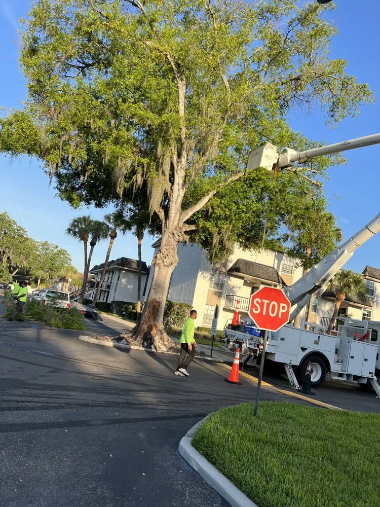 Local yard maintenance in Riverview, FL - Town Haul
