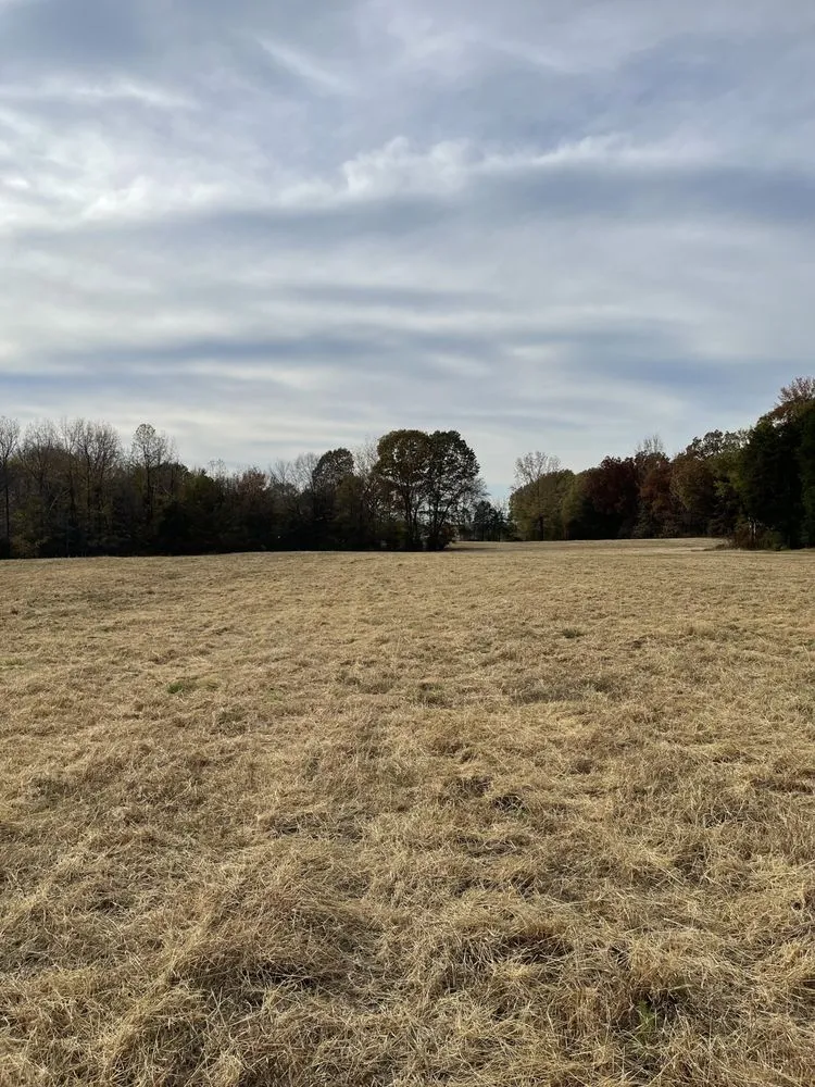 Custom yard maintenance in Westport, TN by Townes Bushhogging & Driveway Service