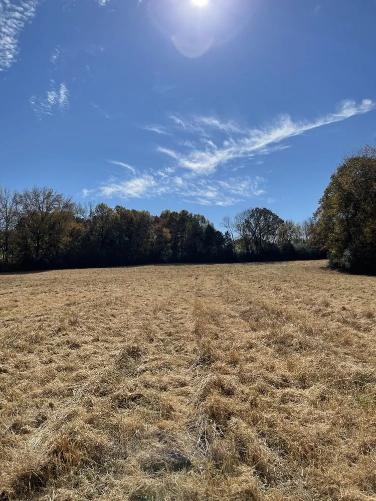 Professional yard maintenance near you in Westport, TN by Townes Bushhogging & Driveway Service