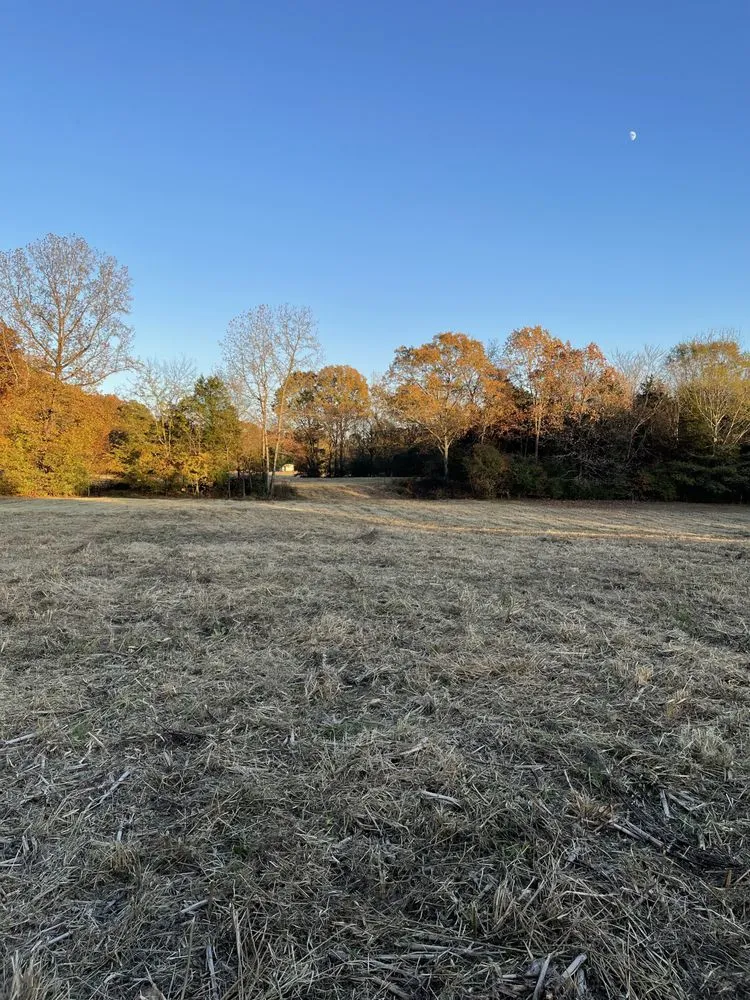 Custom garden landscaping near you across Westport, TN - Townes Bushhogging & Driveway Service