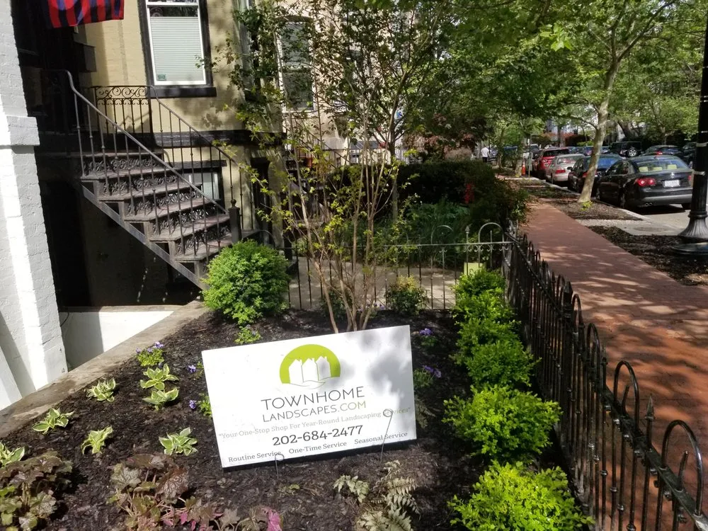 Top-rated yard maintenance for residential properties in Washington DC, DC by Townhome Landscapes