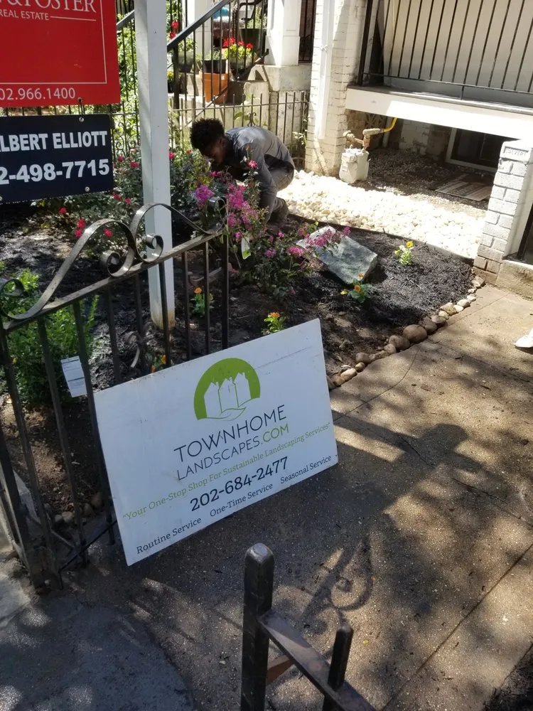 Reliable landscape design for beautiful yards across Washington DC, DC - Townhome Landscapes