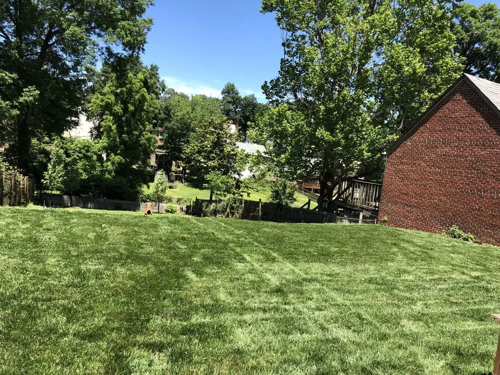 Affordable lawn care service experts serving Washington DC, DC - Townhome Landscapes