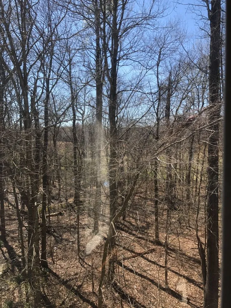 Top-rated lawn mowing service experts serving Washington DC, DC - Townhome Landscapes