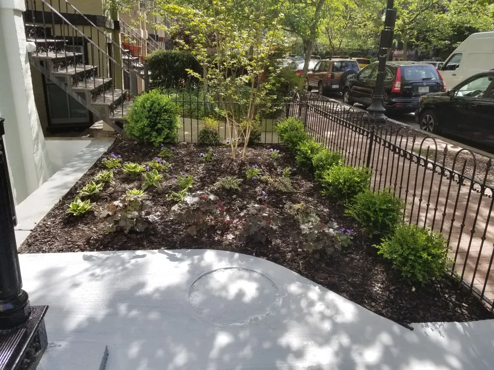 Custom landscape design in Washington DC, DC - Townhome Landscapes
