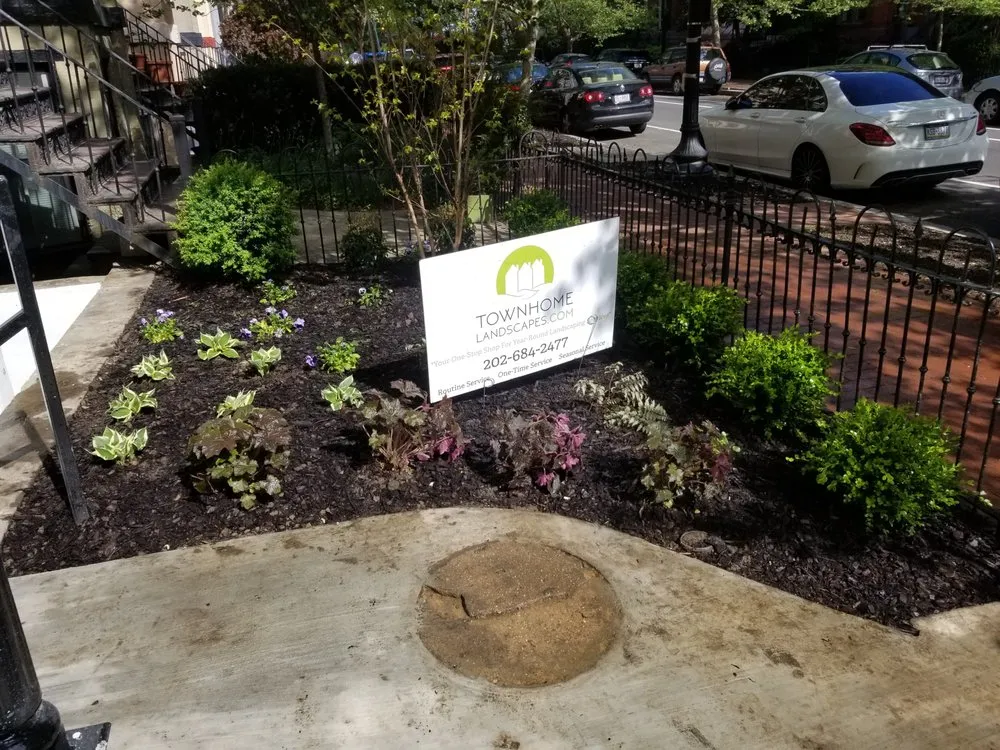 Expert lawn mowing service experts serving Washington DC, DC - Townhome Landscapes