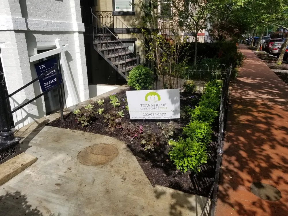 Trusted yard maintenance for residential properties across Washington DC, DC - Townhome Landscapes