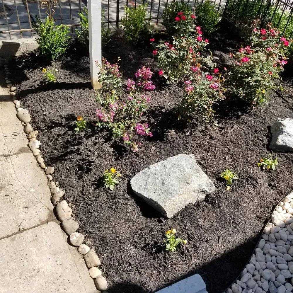 Local residential landscaping experts serving Washington DC, DC - Townhome Landscapes