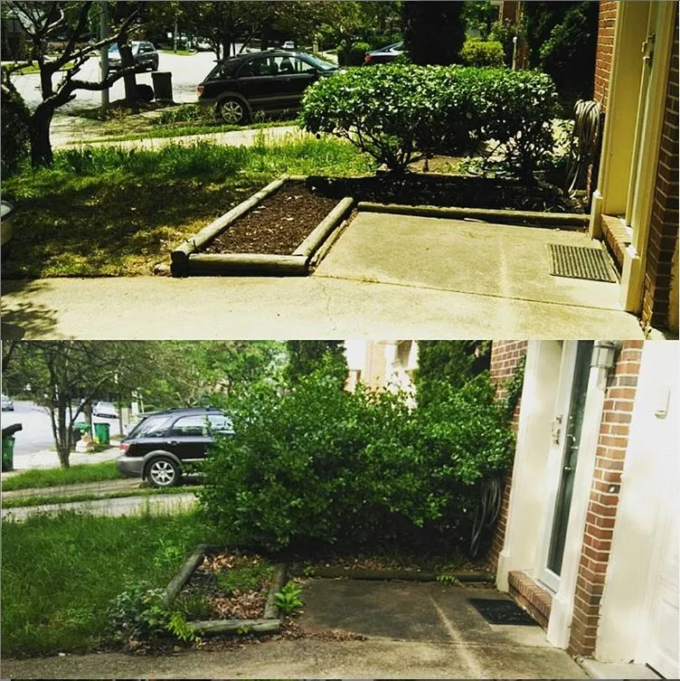 Local lawn mowing service in Washington DC, DC by Townhome Landscapes