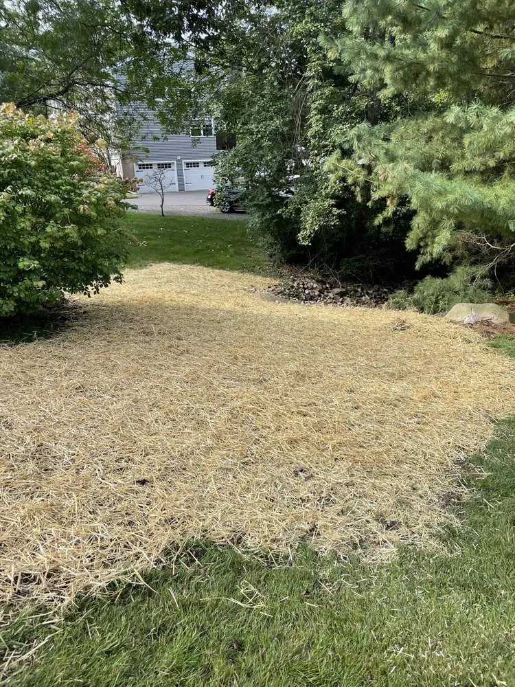 Affordable yard cleanup service near you in Ashford, CT by Townline Property Service