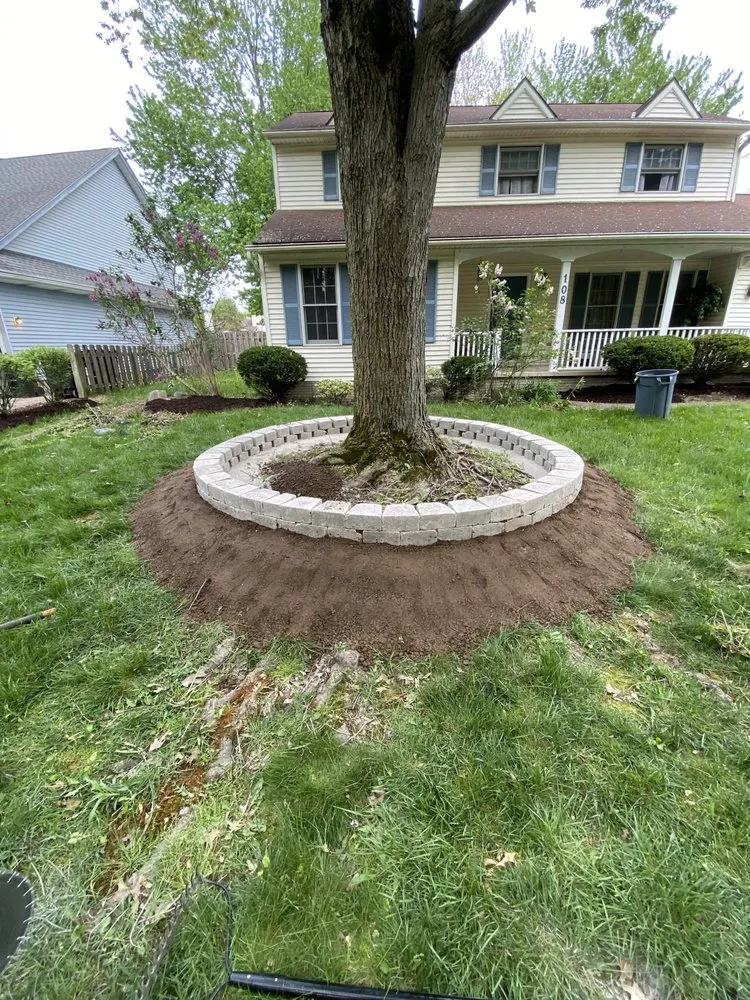 Professional yard cleanup service in Elyria, OH by Towns End Services