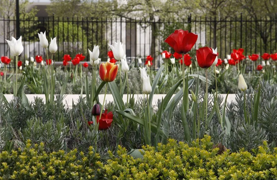 Professional landscape design in Philadelphia, PA by Townscapes