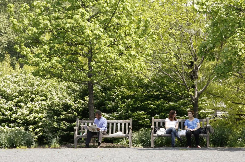 Expert landscaping services in Philadelphia, PA by Townscapes