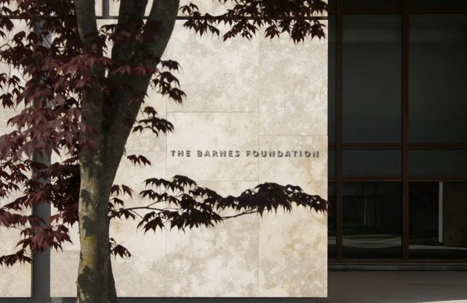 Trusted yard cleanup service experts serving Philadelphia, PA - Townscapes