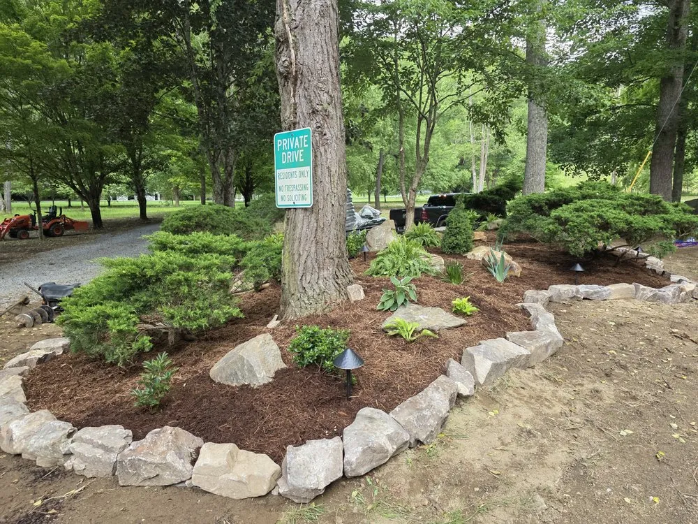 Trusted lawn care service in Hampton, TN by Townsend Land Management