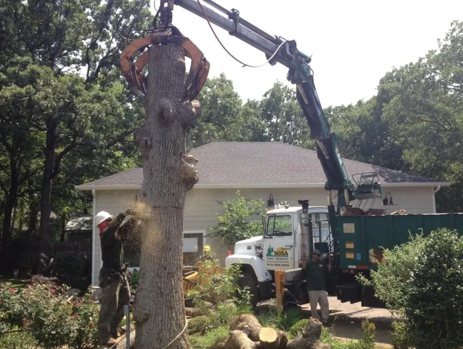 Local lawn care service in El Paso, TX by Townsite