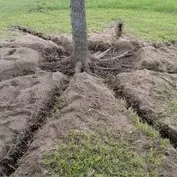 Custom residential landscaping experts serving El Paso, TX - Townsite