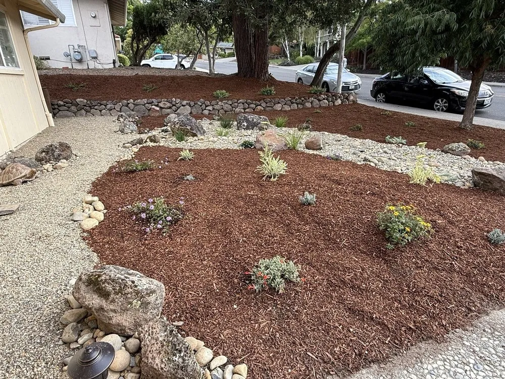 Affordable lawn care service in Concord, CA - Toys landscaping