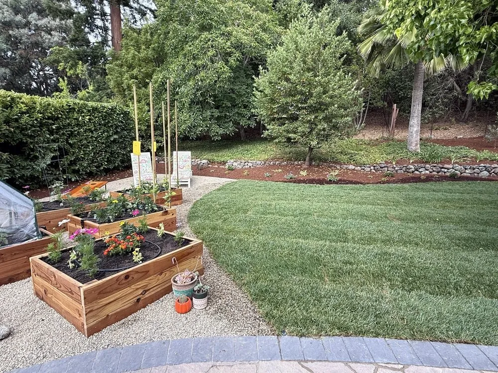 Custom landscape installation near you in Concord, CA by Toys landscaping