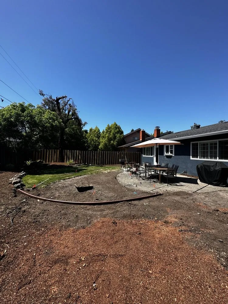 Top-rated yard cleanup service in Concord, CA by Toys landscaping