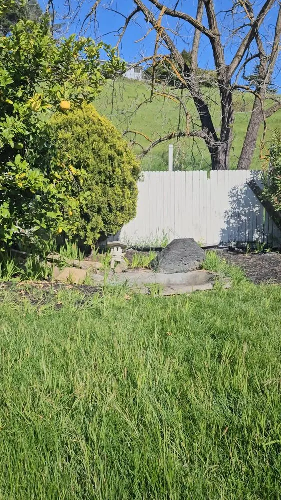 Affordable garden landscaping for residential properties in Concord, CA by Toys landscaping