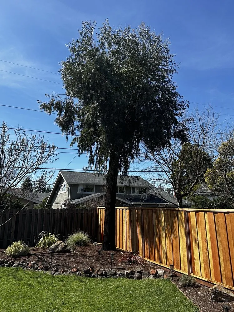 Trusted garden landscaping in Concord, CA - Toys landscaping