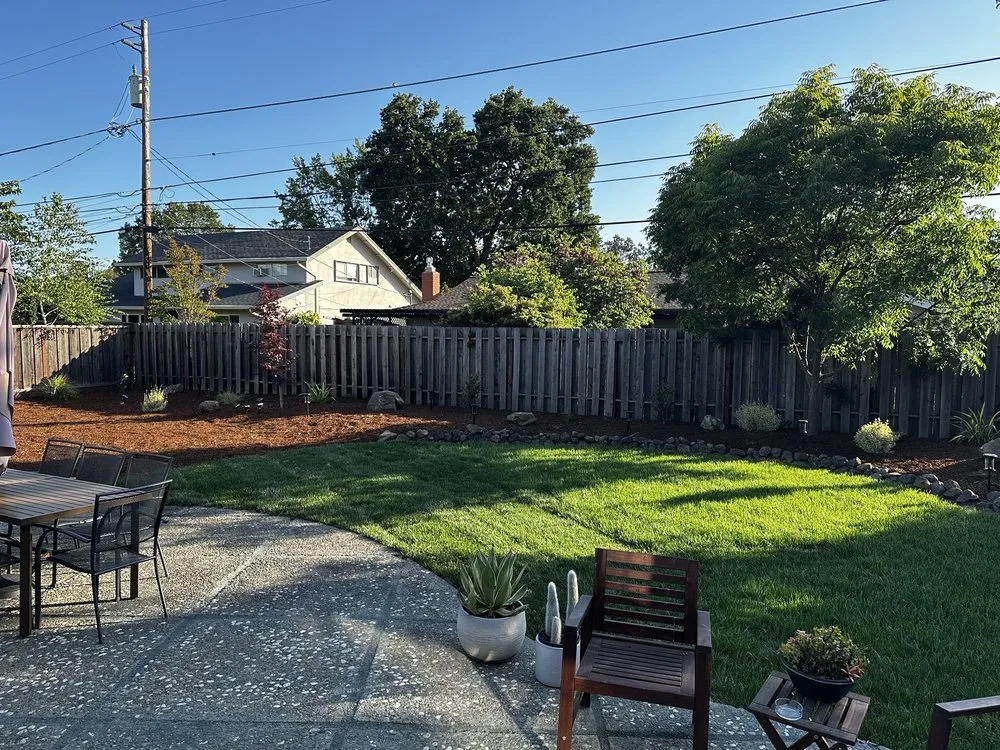 Trusted yard cleanup service for beautiful yards across Concord, CA - Toys landscaping