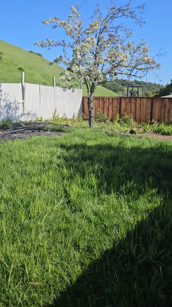 Local landscaping services experts serving Concord, CA - Toys landscaping