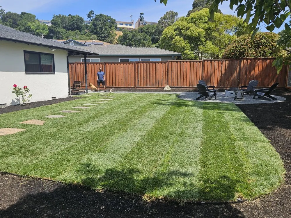 Reliable yard cleanup service in Concord, CA by Toys landscaping