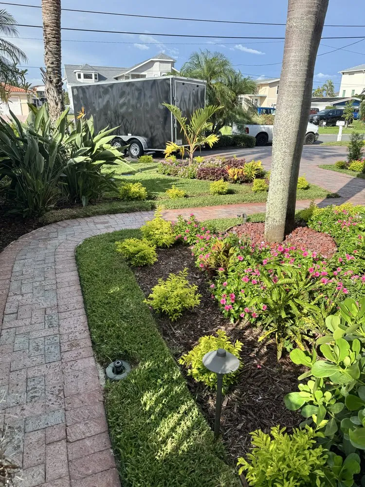 Expert yard cleanup service experts serving Pinellas Park, FL - Toys Landscaping