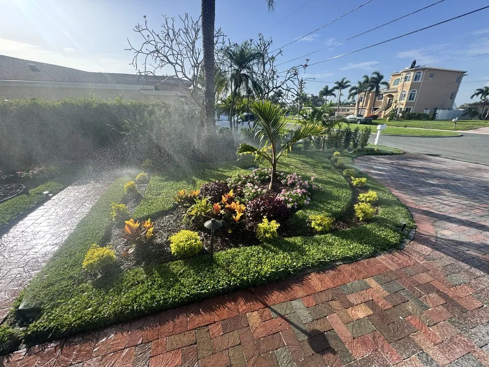 Top-rated yard cleanup service in Pinellas Park, FL - Toys Landscaping
