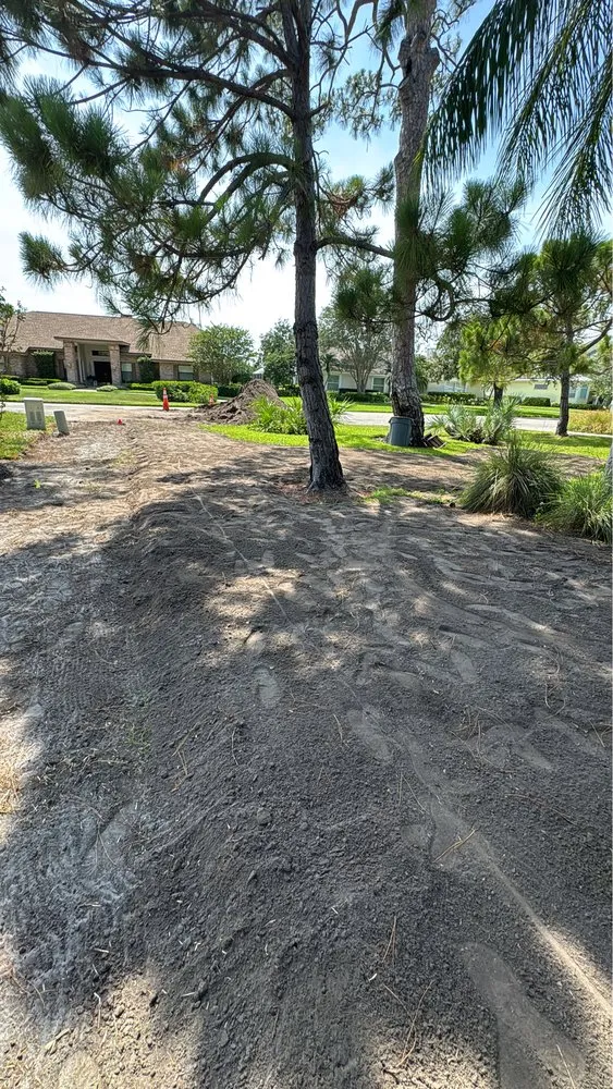 Professional lawn mowing service in Pinellas Park, FL by Toys Landscaping