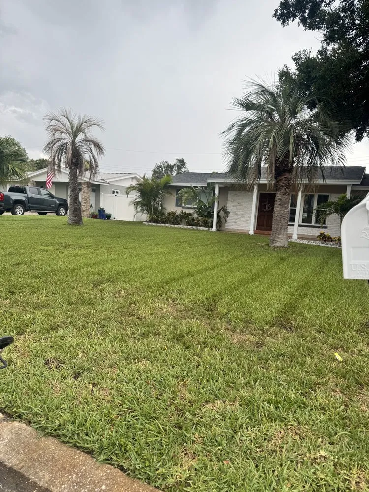 Custom lawn mowing service in Pinellas Park, FL by Toys Landscaping