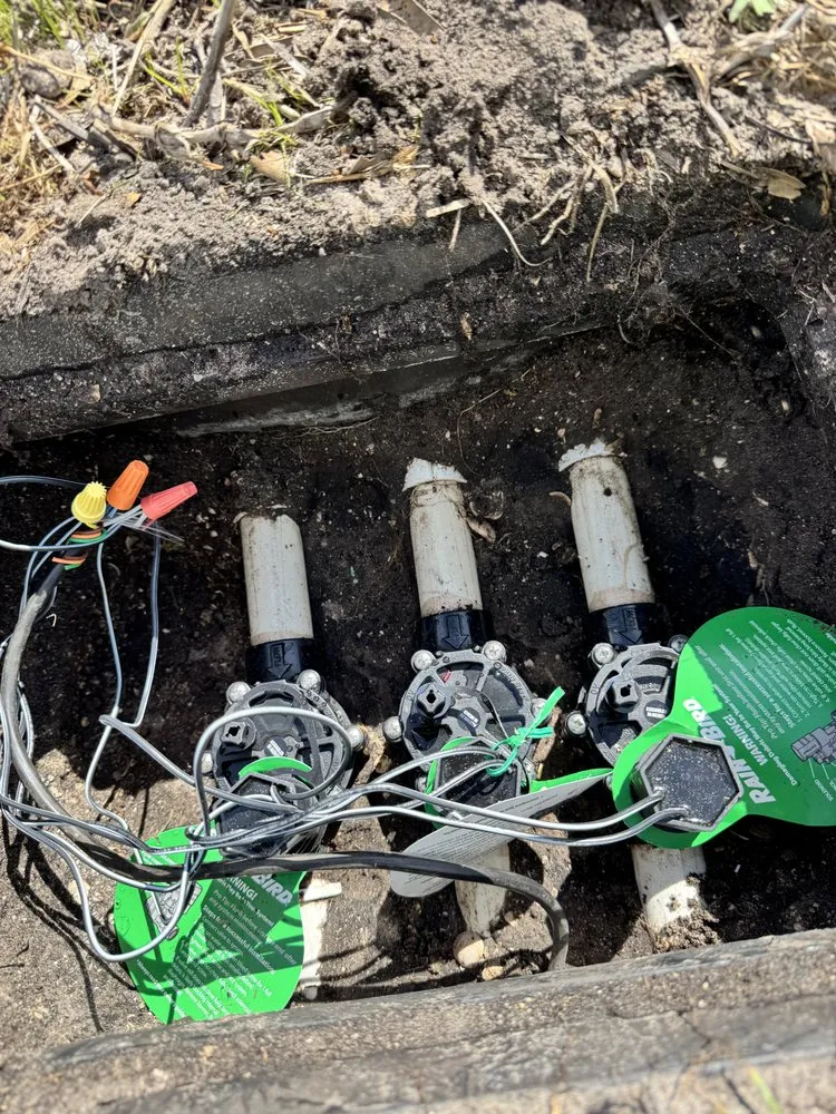 Reliable lawn mowing service in Pinellas Park, FL - Toys Landscaping