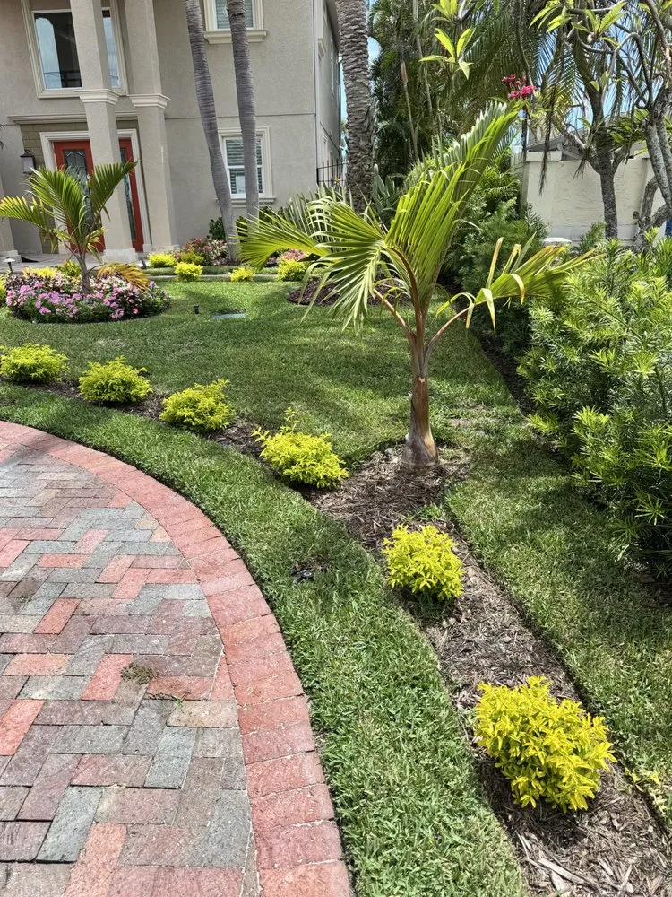 Professional outdoor landscaping in Pinellas Park, FL - Toys Landscaping