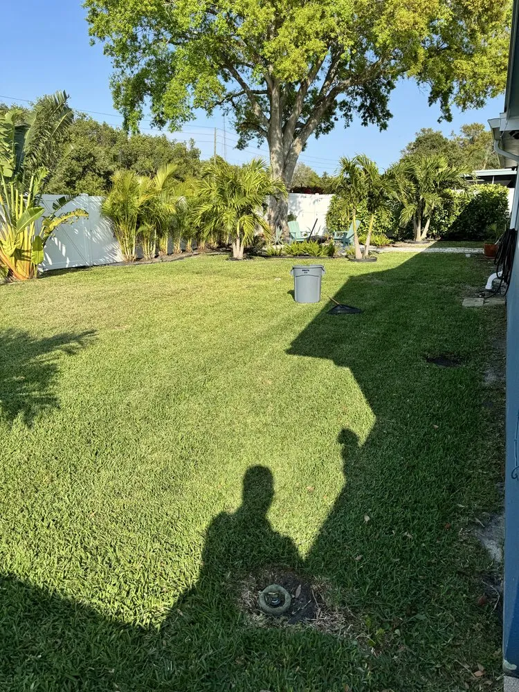 Trusted lawn care service experts serving Pinellas Park, FL - Toys Landscaping