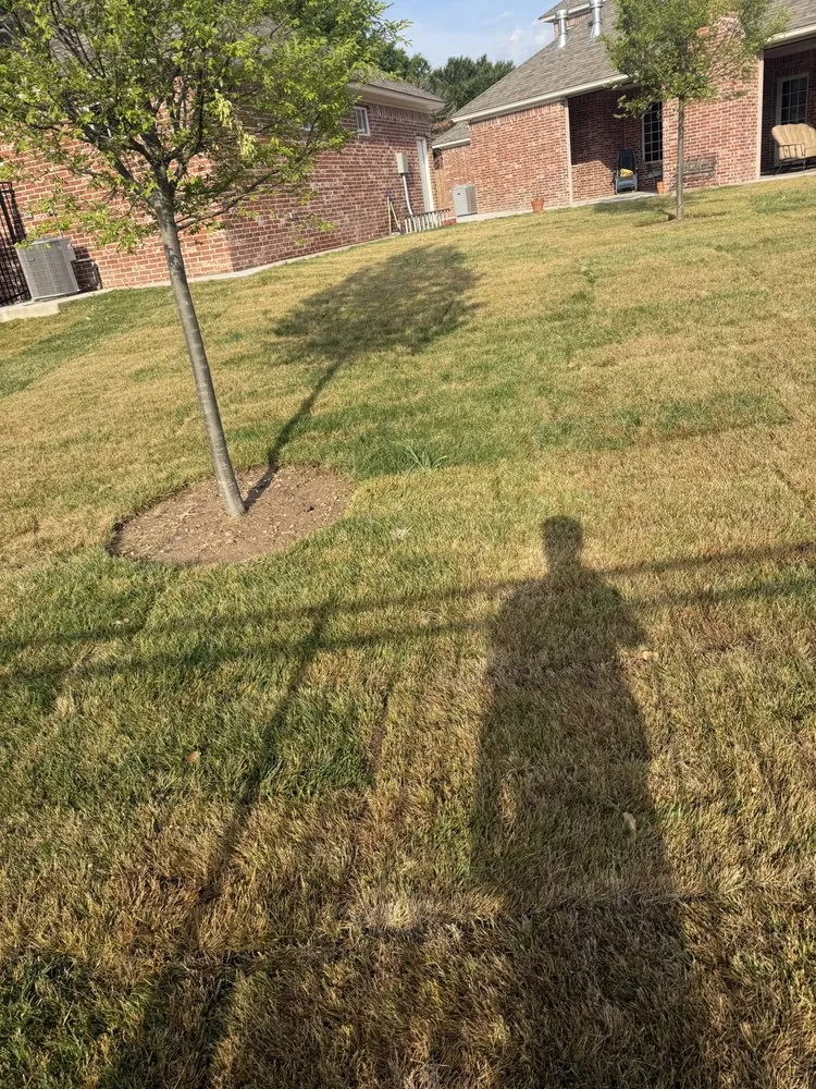 Trusted landscape installation in Amarillo, TX by T.P Landscape and Irrigation