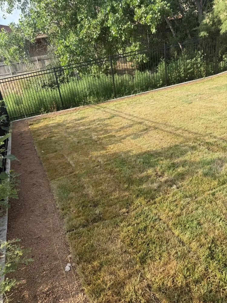 Professional landscape design in Amarillo, TX by T.P Landscape and Irrigation