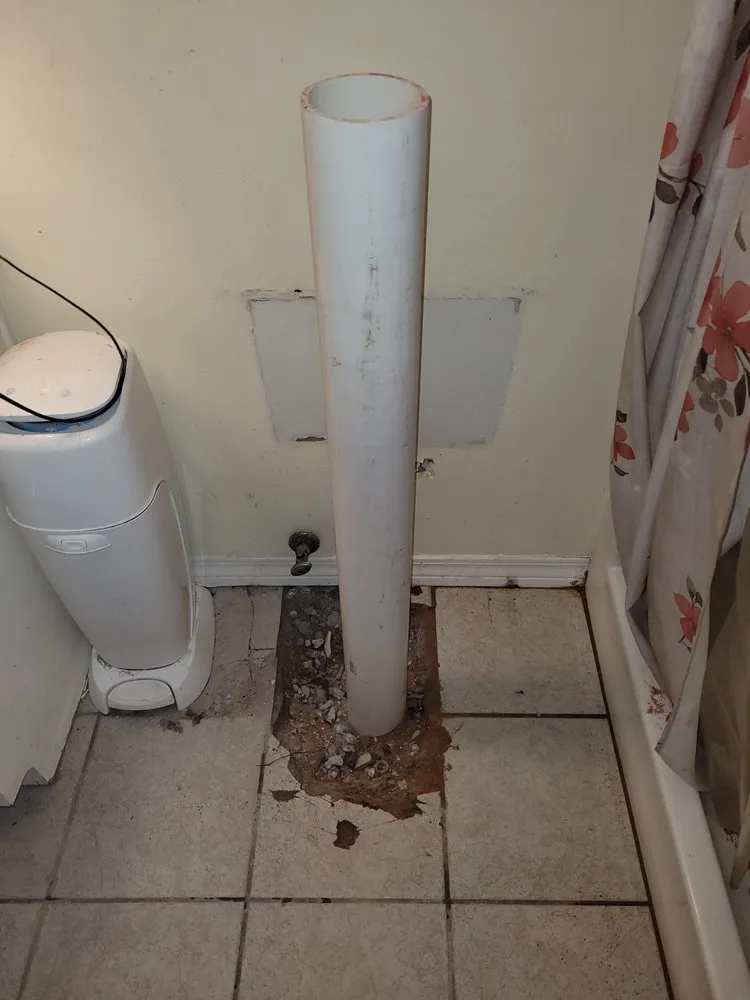 Reliable landscaping services experts serving Navarre, FL - T&P Services