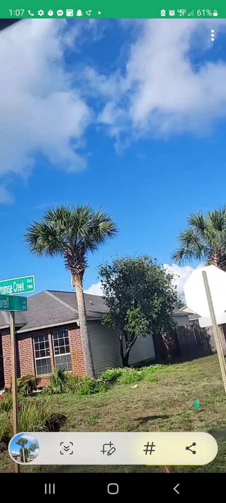 Top-rated landscape design in Navarre, FL by T&P Services