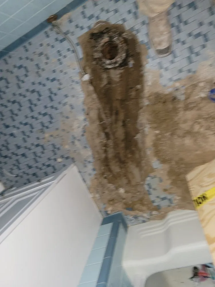 Top-rated landscape design in Navarre, FL - T&P Services