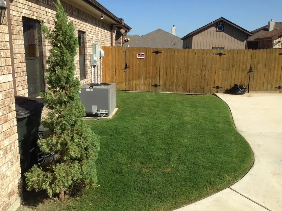 Expert yard cleanup service for year-round maintenance in Harker Heights, TX by TPG Lawn Care